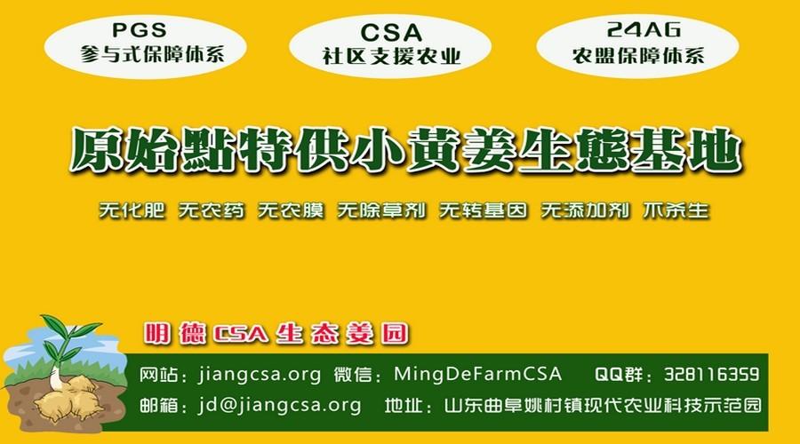 东方圣城 首善之地 至善小黄姜 4月开种活动预报-七不姜 生姜养生网-明德CSA生态姜园&明安农业