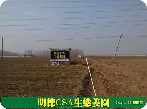 东方圣城 首善之地 至善小黄姜 4月开种活动预报 东方圣城 首善之地 至善小黄姜 4月开种活动预报