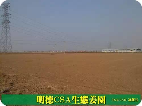 东方圣城 首善之地 至善小黄姜 4月开种活动预报 东方圣城 首善之地 至善小黄姜 4月开种活动预报