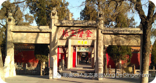 明德CSA姜园 山东圣城曲阜祀天