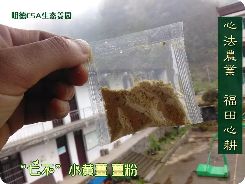 团购特级袋泡七不小黄姜薑粉60包盒装。每包5克一级品小袋泡