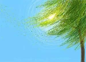 惊蛰的食物,必须有姜!(阳气大动,风邪最盛) 惊蛰的食物,必须有姜!(阳气大动,风邪最盛)