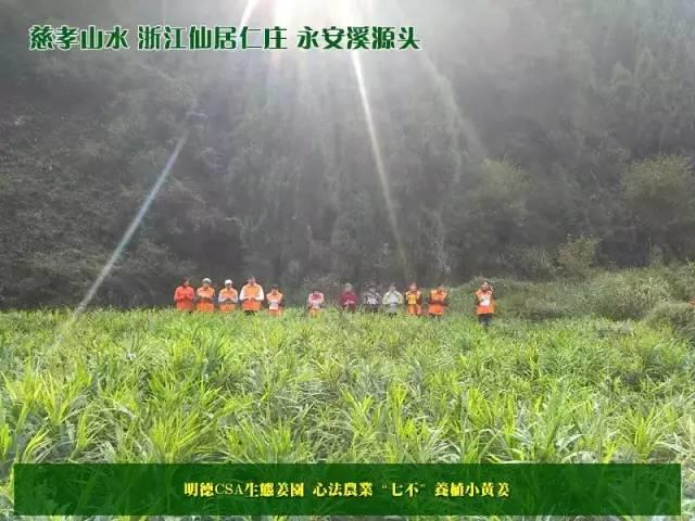 好薑评测点评活动!诚征诚购好薑品! 好薑评测点评活动!诚征诚购好薑品!