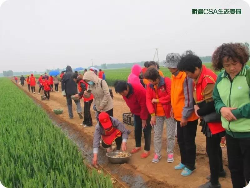 “七夕”快乐！明德薑园送礼送爱与健康