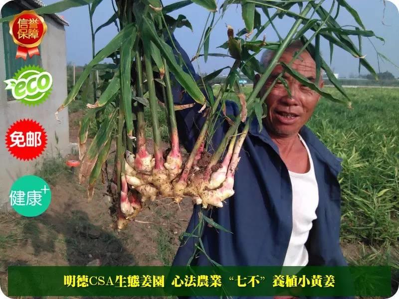 【2015年 【2015年