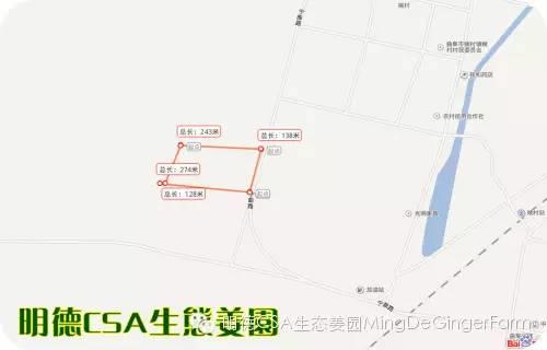 明德CSA生态姜园 姜东土地份额（劳动份额及配送份额）沟垄选购图集