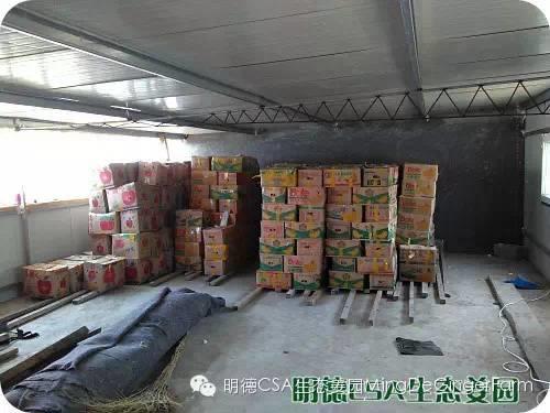 小黄姜种植技术图文详解