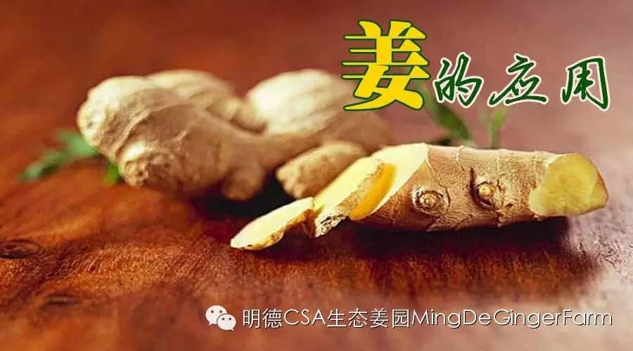 怎样挑好姜?厨房姜的妙用-七不姜 生姜养生网-明德CSA生态姜园&明安农业