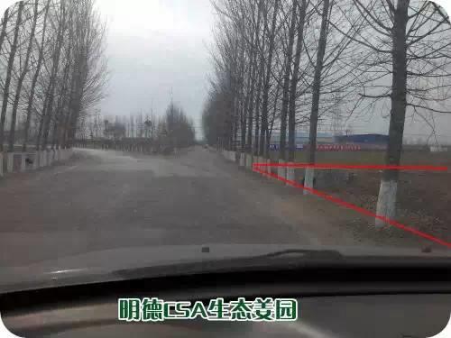 CSA生态姜园的选址：东方圣城曲阜姚村镇现代农业科技示范园