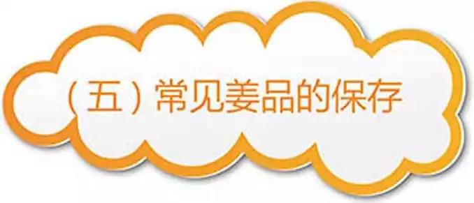 原始点医疗保健中 姜的应用2018.8 V13