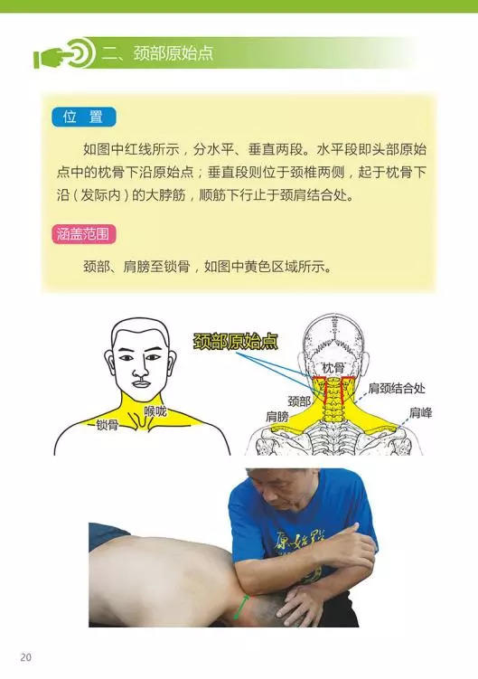 原始点医学手册 电子版(2018年8月第十三版) 原始点医学手册 电子版(2018年8月第十三版)