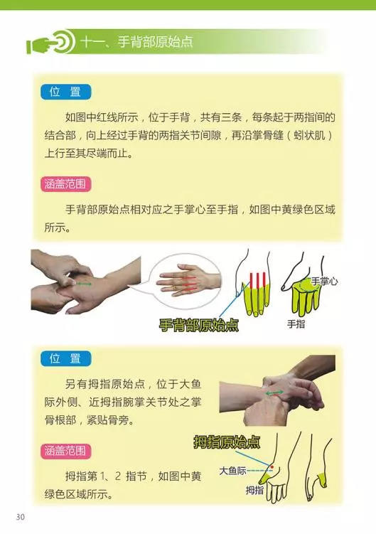 原始点医学手册 电子版(2018年8月第十三版) 原始点医学手册 电子版(2018年8月第十三版)
