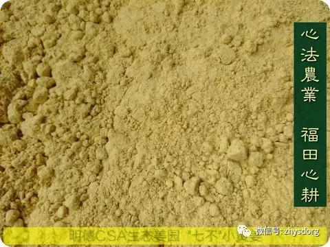 原始点内热源 姜的应用（小黄姜） 2017.6