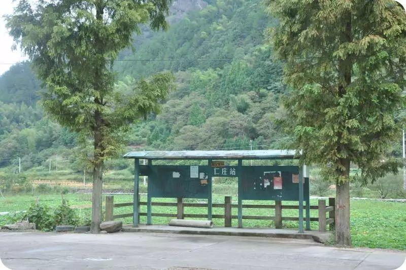 2016年10月心法农业 福田心耕 明德薑园秋收感恩节邀请函（河南焦作 浙江仙居 10.16-10.29）