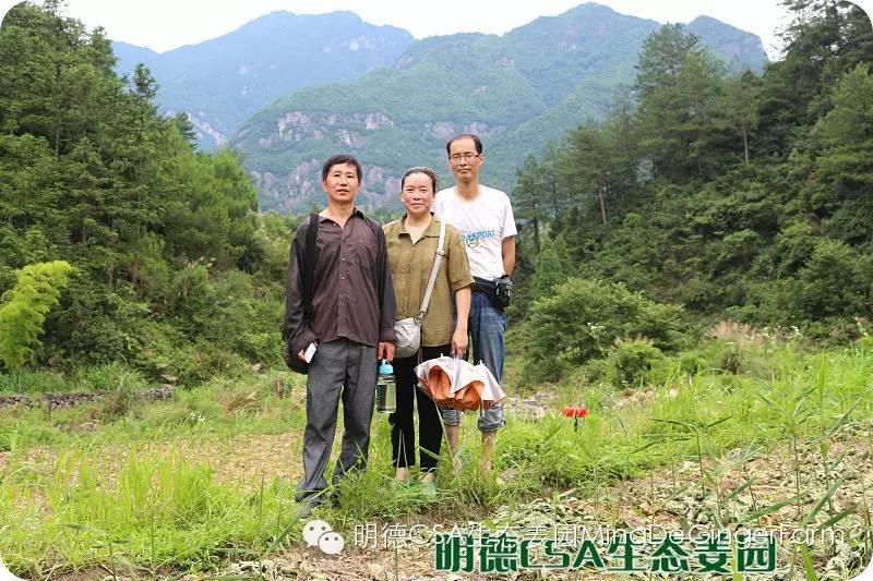 透明溯源 预售定制生态姜园7月新入股东介绍-浙江仙居吴金土