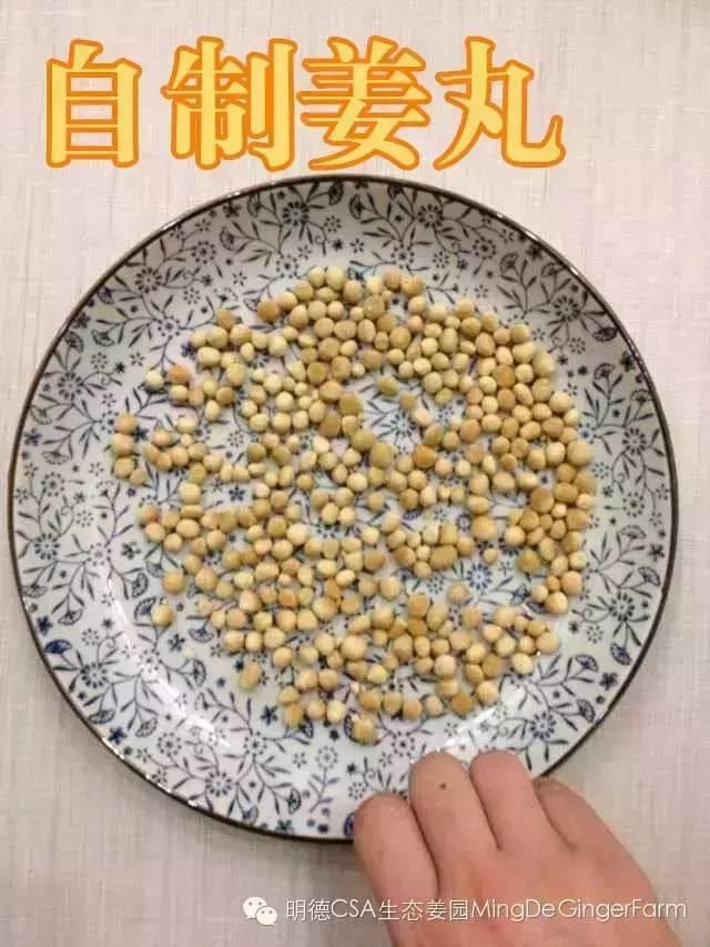 懒人自制姜丸记-附姜丸制作方法-七不姜 生姜养生网-明德CSA生态姜园&明安农业