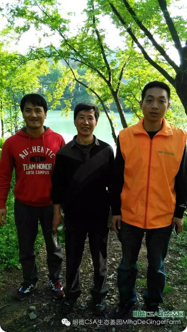 明德CSA生态姜园 浙江仙居仁庄村“七不”小黄姜基地介绍