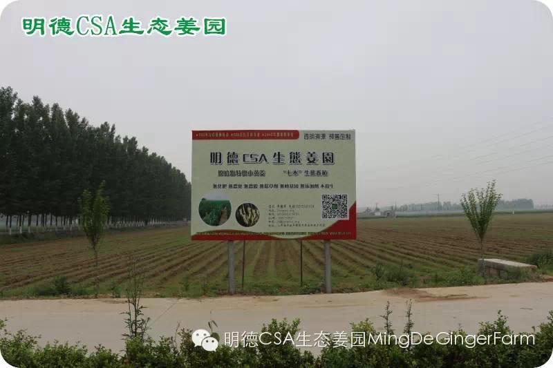 做农业必懂的19个创意流行概念