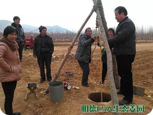 简报：3.5-3.28日 姜园选购 筛选 晾晒姜种3万5千斤