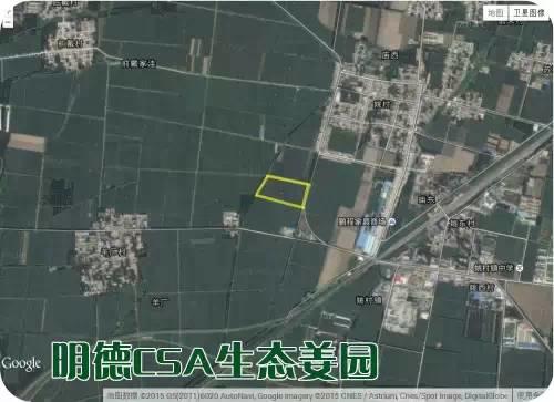 CSA生态姜园的选址：东方圣城曲阜姚村镇现代农业科技示范园
