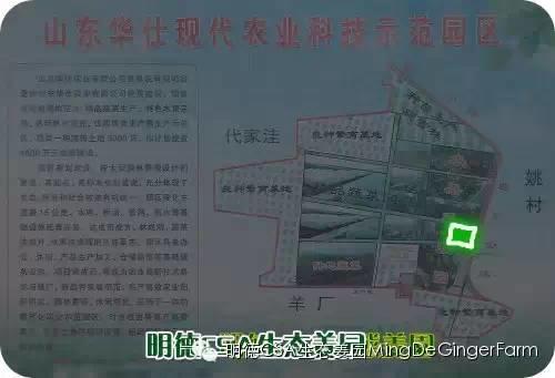 CSA生态姜园的选址：东方圣城曲阜姚村镇现代农业科技示范园