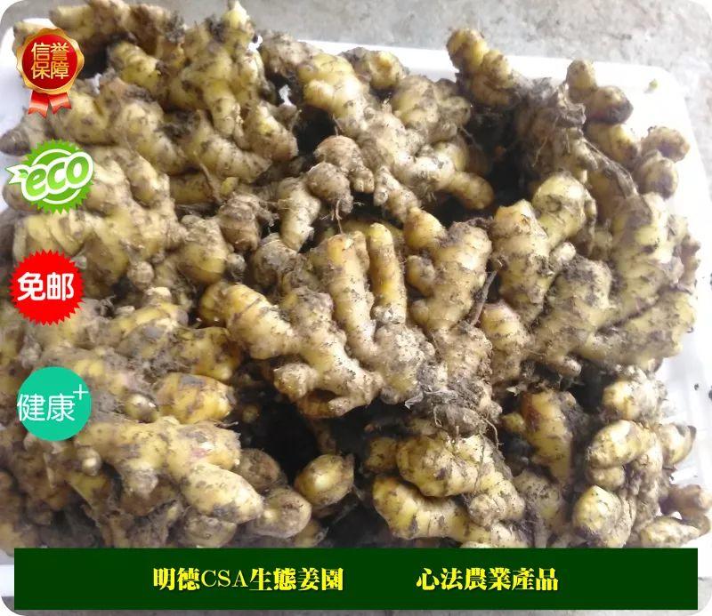 提前订购预售特惠 2019年原始点药用‘七不’小黄姜干姜片1斤 包邮 明德生态姜园心法农业恭制