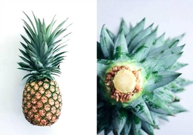 她切了块姜扔到土里，阳台瞬间变菜园，再也不用去买菜！