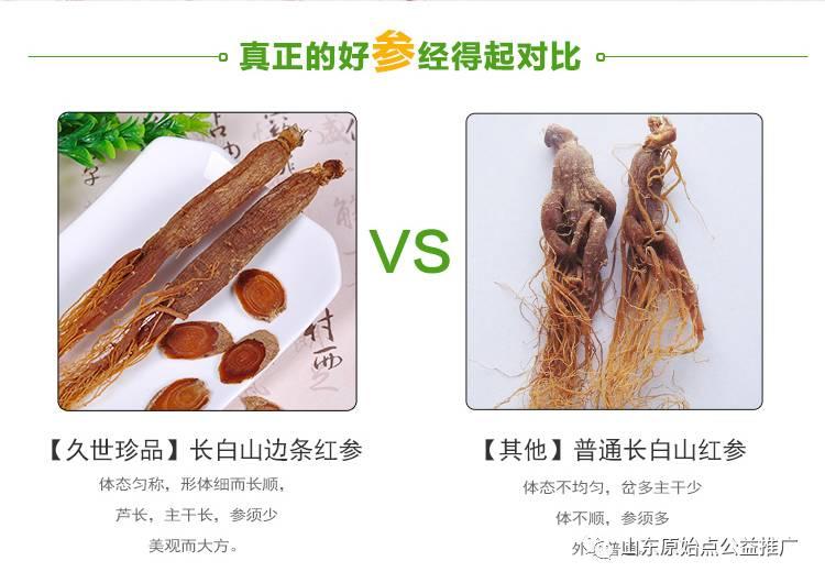 原始点家人辅助内热源-纯正无糖红参