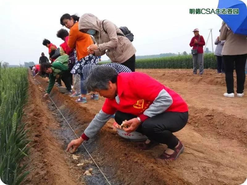 善的热循环 爱的真分享-自然、生态、良心姜品热源免费申请