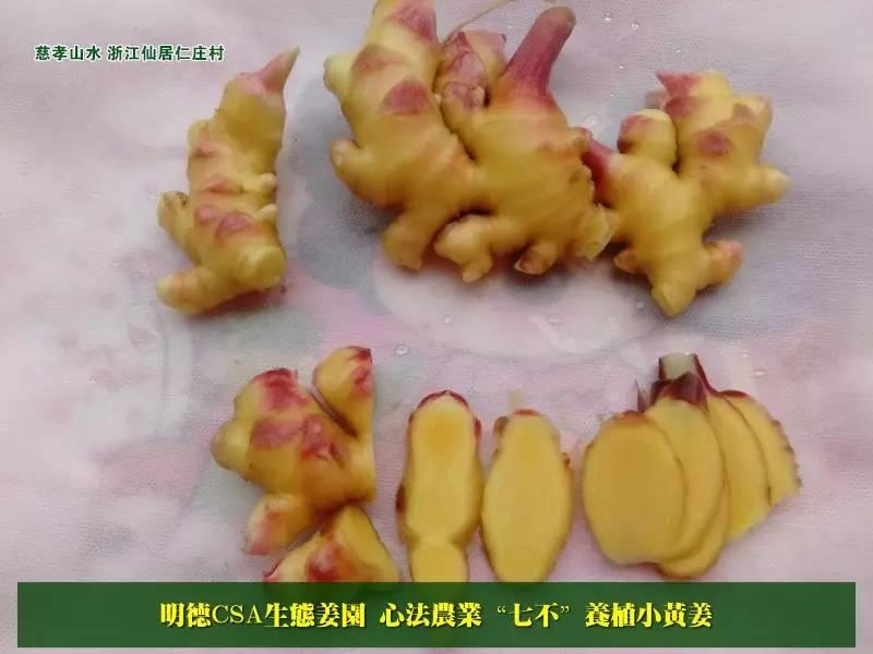 心法农业明德