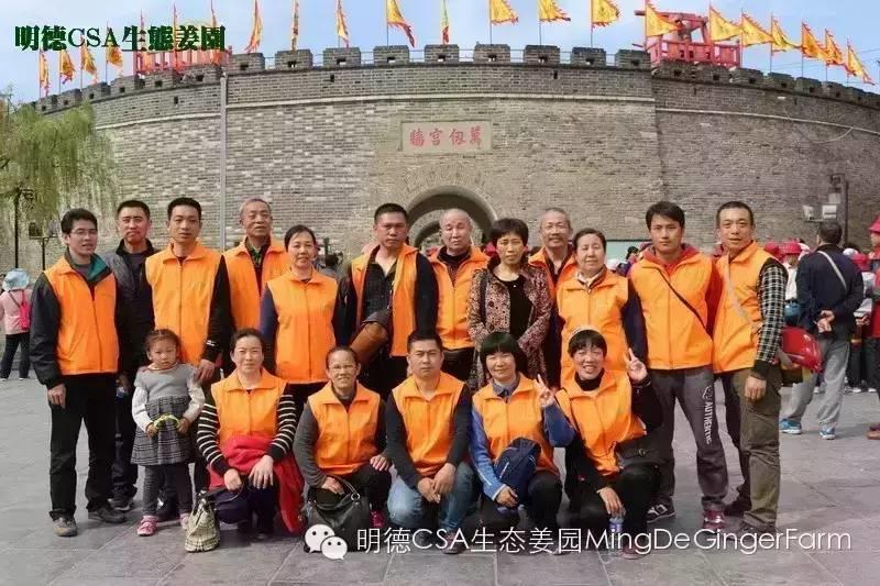 寻找姜园合伙人股东,一起建设原始点特供小黄姜生态姜园-七不姜 生姜养生网-明德CSA生态姜园&明安农业