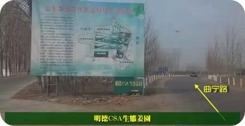东方圣城 首善之地 至善小黄姜 4月开种活动预报 东方圣城 首善之地 至善小黄姜 4月开种活动预报