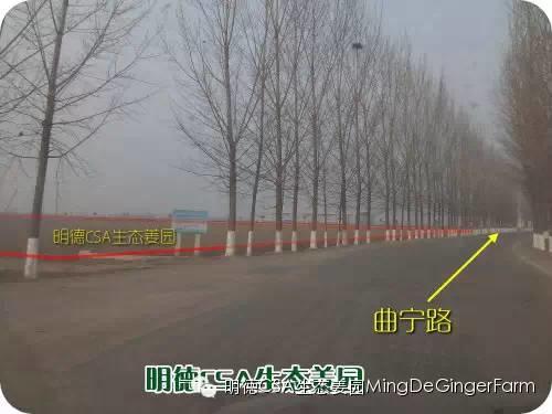 CSA生态姜园的选址：东方圣城曲阜姚村镇现代农业科技示范园