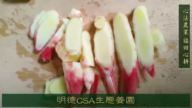 9月新鲜嫩姜新上市了! ‘七不’生态小黄姜生姜 嫩姜1斤 纯正无污染鲜嫩小土姜 明安心法农业 福田心耕 9月新鲜嫩姜新上市了! ‘七不’生态小黄姜生姜 嫩姜1斤 纯正无污染鲜嫩小土姜 明安心法农业 福田心耕