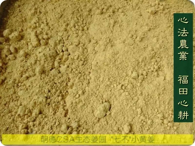 原始点 姜的应用2018.1 V4