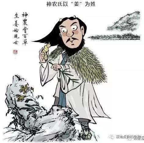 张医师讲:原始点姜的应用大总结:【古代名人姜的传说】 张医师讲:原始点姜的应用大总结:【古代名人姜的传说】