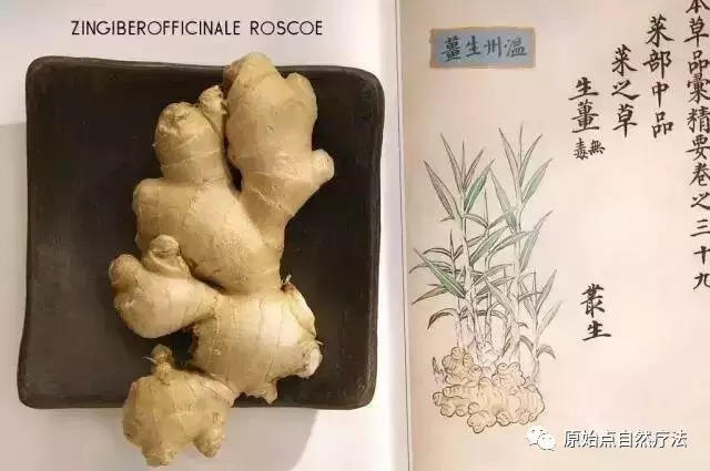 张医师讲:原始点姜的应用大总结:【古代名人姜的传说】 张医师讲:原始点姜的应用大总结:【古代名人姜的传说】