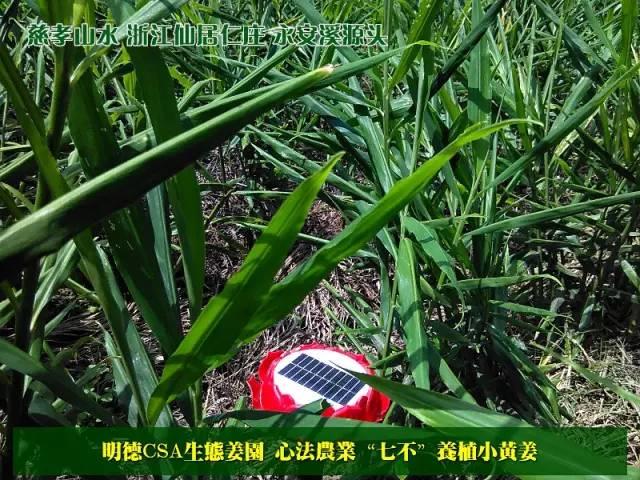 ♥ 三八节♥ 促销公告 ♥ 三八节♥ 促销公告