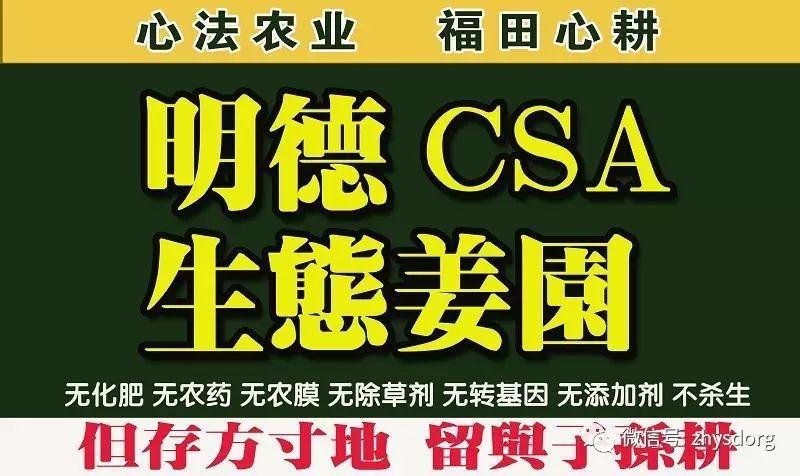 你了解原始点内热源 姜(薑)的种类和应用吗? 你了解原始点内热源 姜(薑)的种类和应用吗?