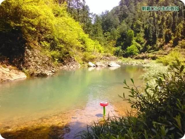 【春节放假停运公告】