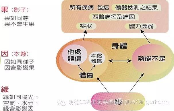 生姜养生法(5)生姜的十八般武艺-自然医学养生 生姜养生法(5)生姜的十八般武艺-自然医学养生