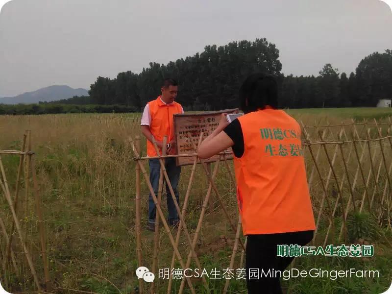 明德CSA生态姜园5月新入股东介绍 原始点志愿者 牛焕义