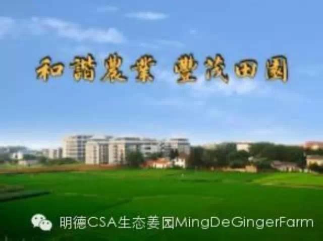 和谐农业，丰茂田园：和谐农业，万物共生，爱护家园，造福子孙-七不姜 生姜养生网-明德CSA生态姜园&明安农业