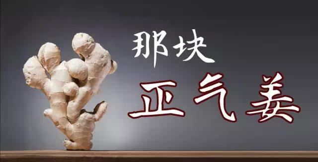 特邀养生专家曲黎敏：姜是我最爱谈的一个话题