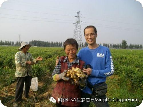 透明溯源CSA及PGS姜园发起股东及创业团队