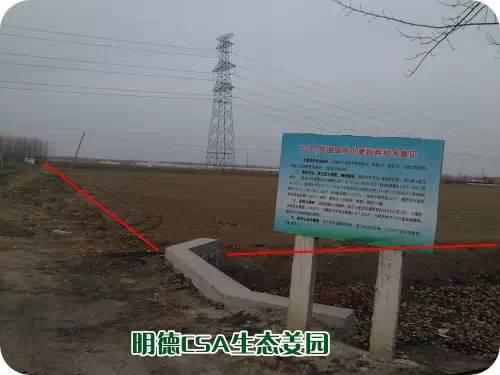 CSA生态姜园的选址：东方圣城曲阜姚村镇现代农业科技示范园