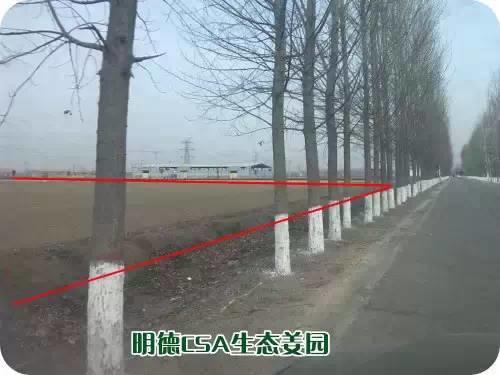 CSA生态姜园的选址：东方圣城曲阜姚村镇现代农业科技示范园