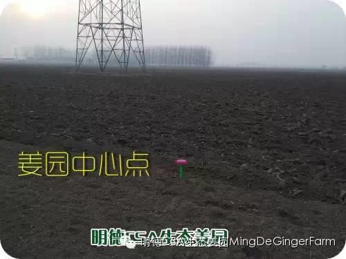 CSA生态姜园的选址：东方圣城曲阜姚村镇现代农业科技示范园