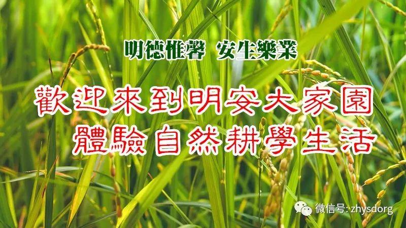 【原始点全球同学网 浙江仙居原始点公益手法学习交流会】原始点生命健康学习班 2018明安大家园 【原始点全球同学网 浙江仙居原始点公益手法学习交流会】原始点生命健康学习班 2018明安大家园