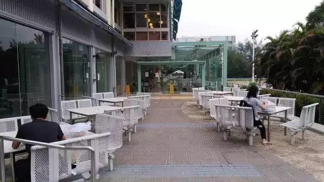 全球最牛的谷歌食堂,竟开始给员工吃素! 全球最牛的谷歌食堂,竟开始给员工吃素!